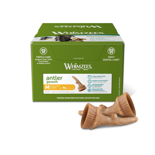 Tan cone-shaped antler dental treats for dogs from whimzees antler display medium x66 showing front view