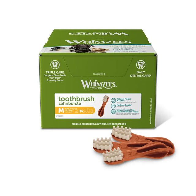 Whimzees toothbrush dental treats with brown handle and white bristles in orange green med display 75x110mm box