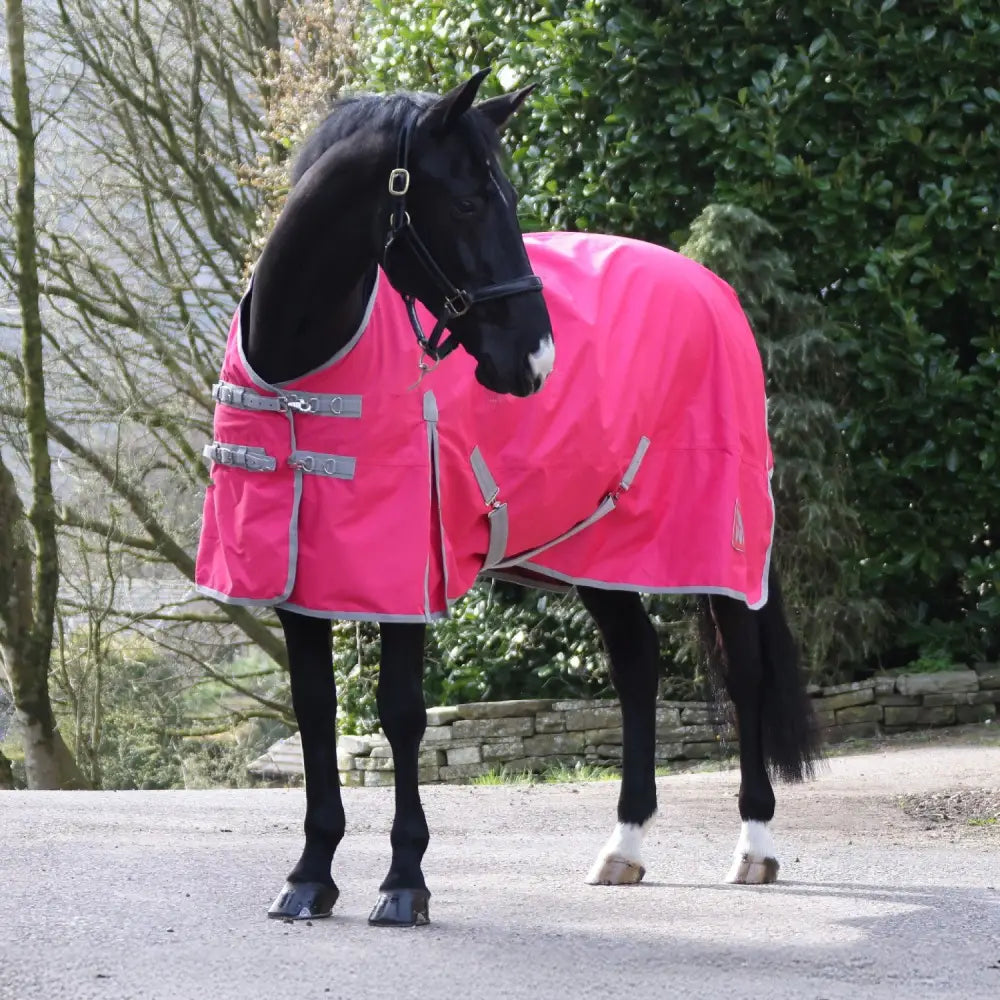 Bright pink whitaker 0g standard turnout rug pink with gray trim silver buckles and umbrella tail cover