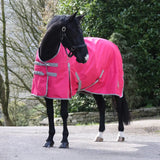 Bright pink whitaker 0g standard turnout rug pink with gray trim silver buckles and umbrella tail cover