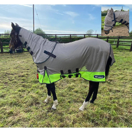 Whitaker Airton Fly Rug Lime Fly Rugs 4' 9" Lime Barnstaple Equestrian Supplies