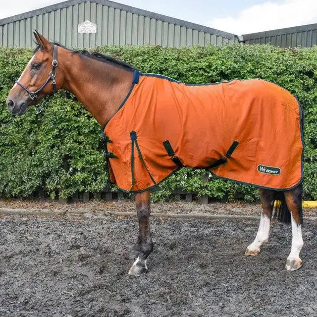 Orange whitaker allerton cotton horse blanket with black trim and adjustable straps lightweight summer sheet