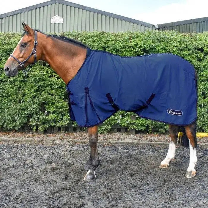 Whitaker Allerton Cotton Sheet 5'9" Dark Blue 
