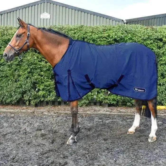 Navy blue whitaker allerton cotton lightweight summer sheet horse blanket with black straps and white logo on side