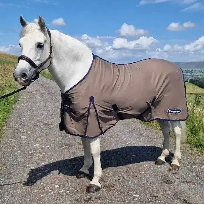 Brown whitaker allerton cotton sheet with black trim and small logo lightweight summer sheet for horses