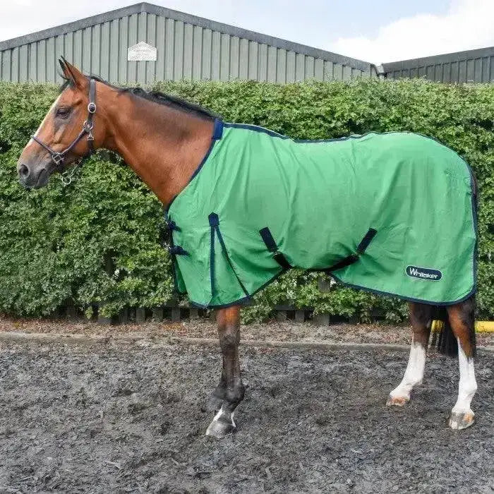 Green whisker brand whitaker allerton cotton lightweight summer sheet horse blanket with black trim and adjustable straps