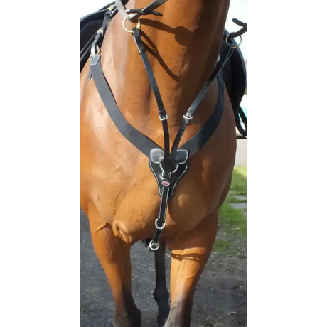 Whitaker Bp048Av Eastwood Elasticated Breastplate Black Cob Black Breastplates