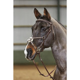 A sleek dark gray horse wearing a silver toned whitaker bp052 valencia 5 point breastplate havana with brown leather straps
