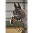 A sleek dark gray horse wearing a silver-toned finely crafted whitaker bp052 valencia 5 point breastplate havana