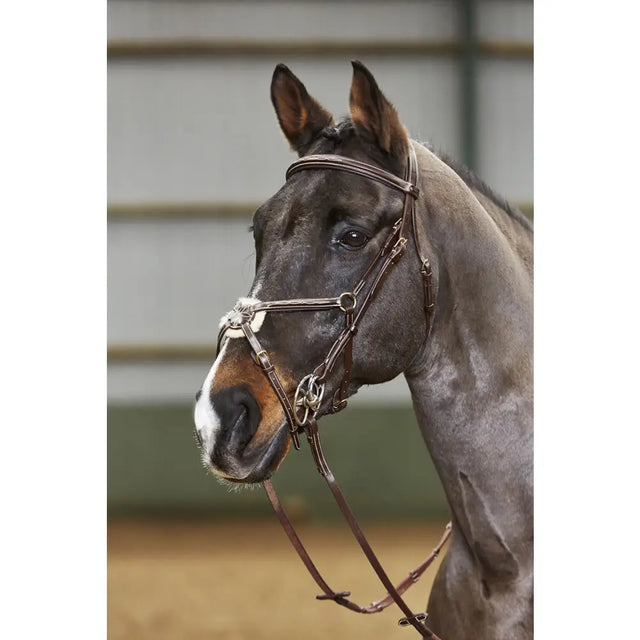 A sleek dark gray horse wearing a silver-toned finely crafted whitaker bp052 valencia 5 point breastplate havana