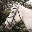 Black leather eastwood mexican bridle with silver hardware and mexican reins black whitaker br050a eastwood model