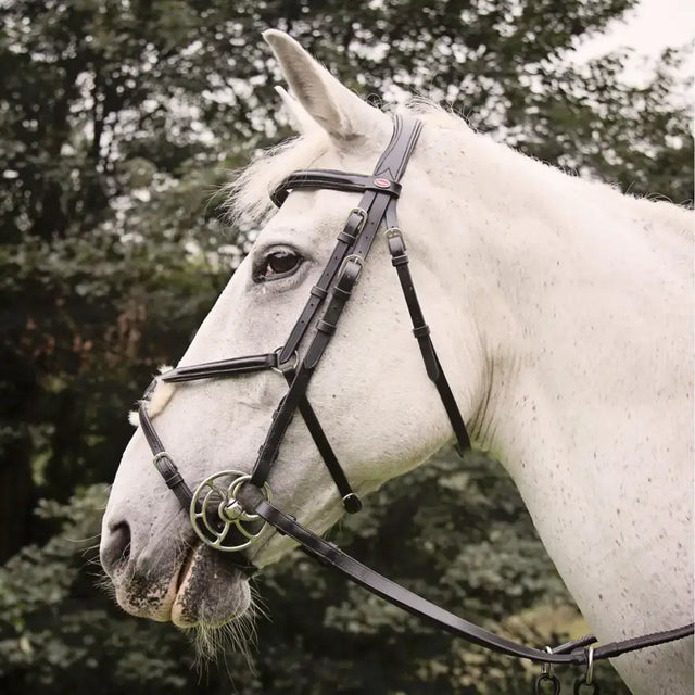 Black leather eastwood mexican bridle with silver hardware and mexican reins black whitaker br050a eastwood model
