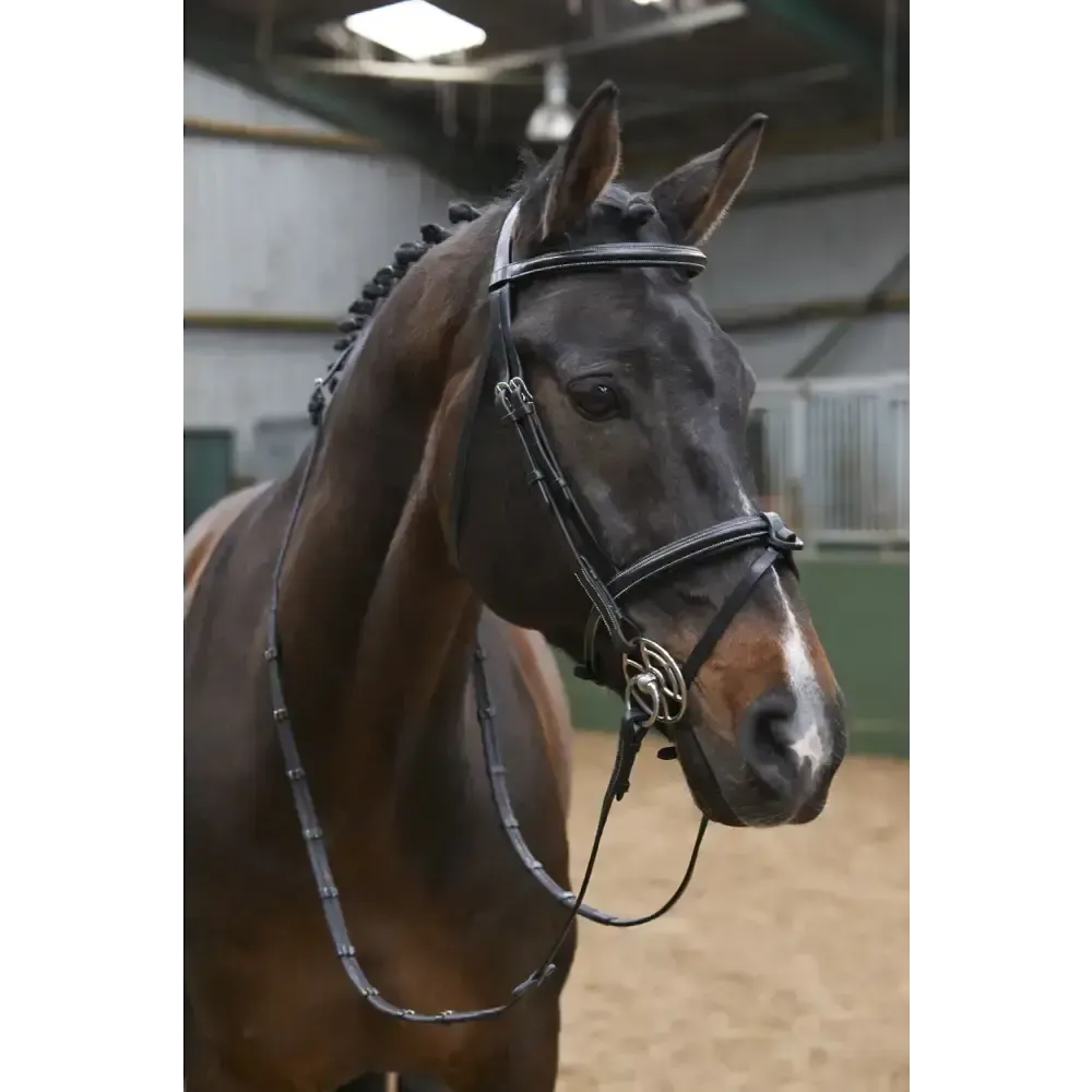 Whitaker Br051A Eastwood Raised Flash Bridle C/W Reins Black Cob Black Flash Bridles