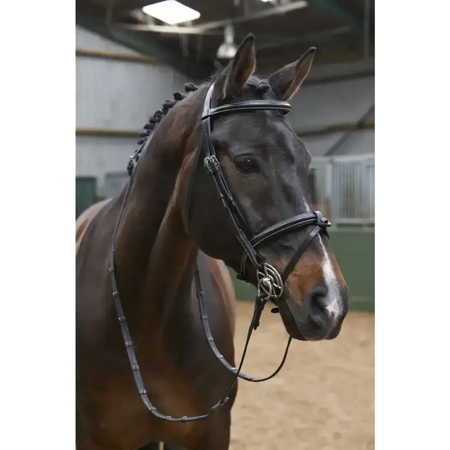 Whitaker Br051A Eastwood Raised Flash Bridle C/W Reins Black Cob Black Flash Bridles