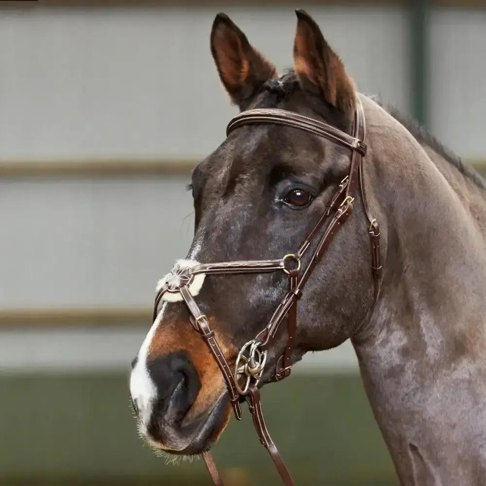 Whitaker Br052 Valencia Deluxe Mexican Bridle Havana Pony Light Havana Grackle Bridles