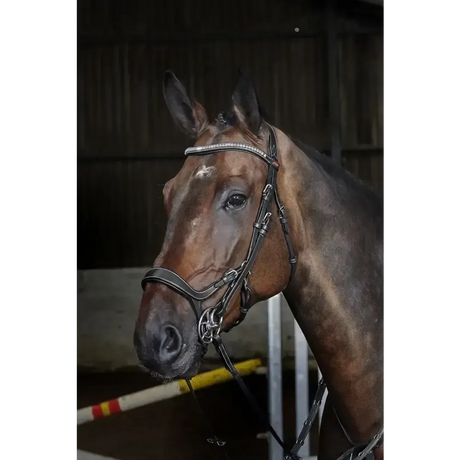 Whitaker Br070 Chicago Anatomic Bridle C/W Reins Black Cob Black Flash Bridles