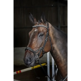 Whitaker Br070 Chicago Anatomic Bridle C/W Reins Black Cob Black Flash Bridles