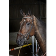 Whitaker Br070 Chicago Anatomic Bridle C/W Reins Havana Cob Light Havana Flash Bridles
