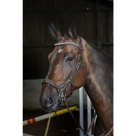 Whitaker Br070 Chicago Anatomic Bridle C/W Reins Havana Cob Light Havana Flash Bridles