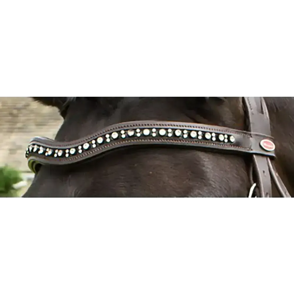 Whitaker Br073Bb Lynton Curved Diamante Browband Havana Cob Light Havana Browbands