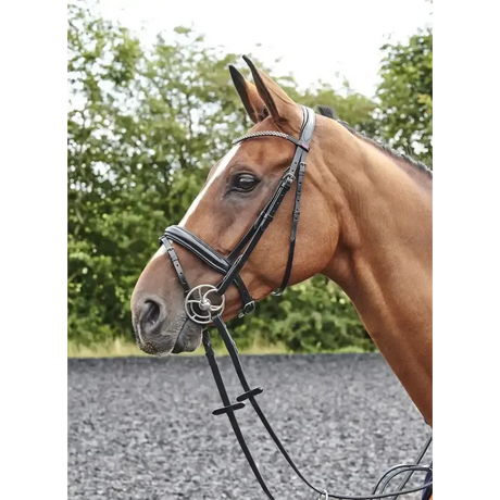 Whitaker Br078 Barton Bling Flash Bridle Black Cob Black Flash Bridles