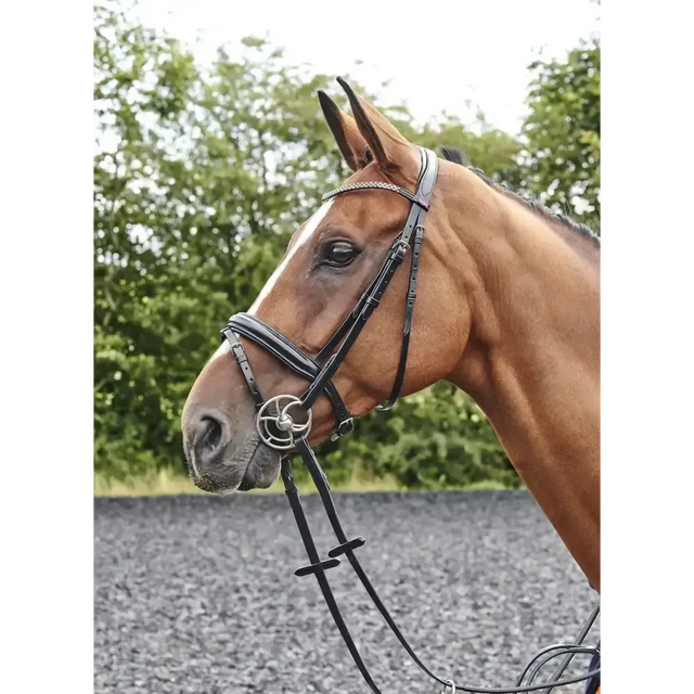 Whitaker Br078 Barton Bling Flash Bridle Black Cob Black Flash Bridles