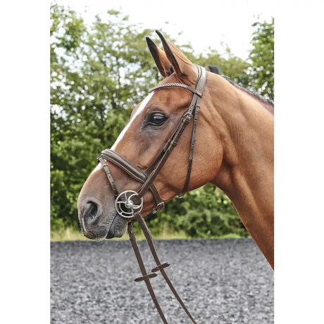 Brown horse wearing whitaker br078 barton bling flash bridle havana in dark brown leather with silver hardware