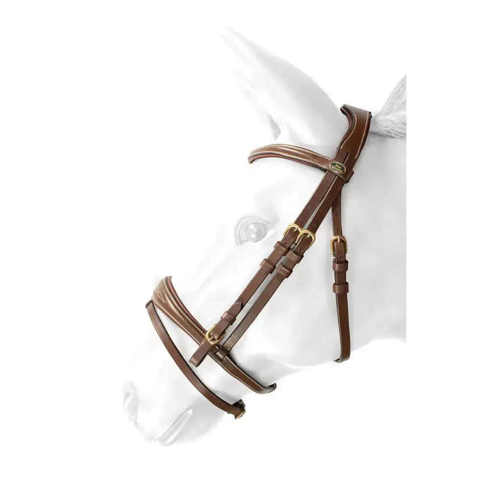 Brown leather whitaker br100 venice bridle with gold buckles and oval emblem with reins havana attached