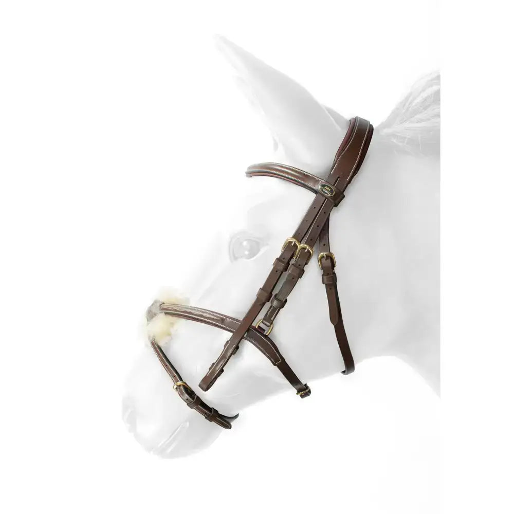Brown leather whitaker br101 vienna bridle with decorative stitch and gold-toned buckles with reins havana