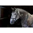 Whitaker Br103 Stockholm Anatomic Bridle Black Cob Black Anatomical Bridles