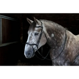 Whitaker Br103 Stockholm Anatomic Bridle Black Cob Black Anatomical Bridles