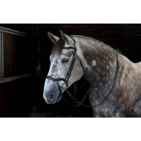 Whitaker Br103 Stockholm Anatomic Bridle Black Cob Black Anatomical Bridles