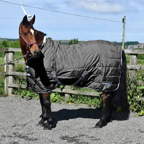 Black quilted whitaker crompton stable rug 100gm with white trim and straps perfect for horse care