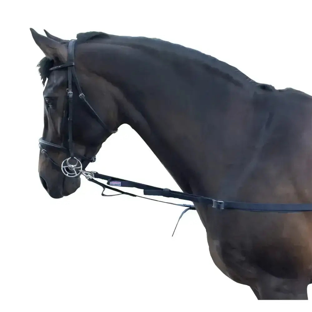 Black leather horse bridle with silver hardware and purple brand tag used in whitaker elasticated side reins for horse tack