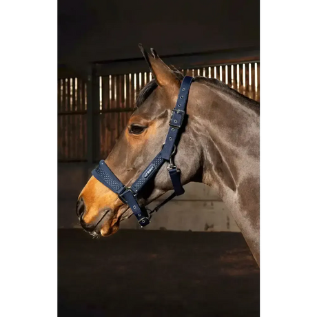 Whitaker Hc061 San Francisco Headcollar Navy Full Navy Headcollars & Lead Ropes
