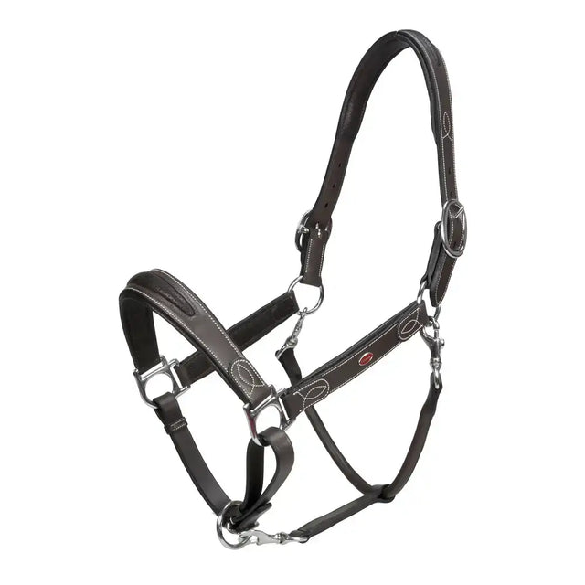 Whitaker Hc070 Chicago Leather Headcollar Light Havana Cob Light Havna Headcollars