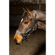 Gray leather horse halter with black stitching and gold hardware whitaker hc096 harewood headcollar grey