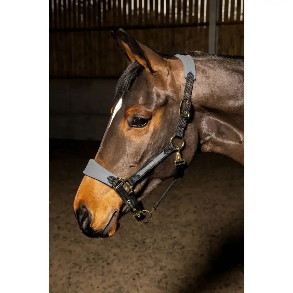 Gray leather whitaker hc096 harewood headcollar grey with black stitching and gold-toned metal hardware