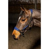 Blue leather whitaker hc096 harewood headcollar navy with black straps and gold metal hardware for horses