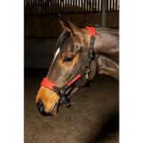 Whitaker Hc096 Harewood Headcollar Red Full Red/Black Headcollars