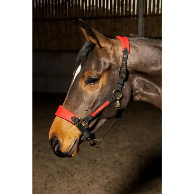 Whitaker Hc096 Harewood Headcollar Red Full Red/Black Headcollars