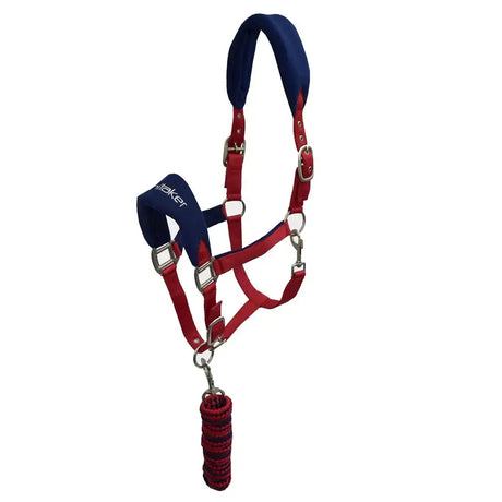 Red and navy blue leather whitaker hc160 club headcollar with silver hardware and matching leadrope set red