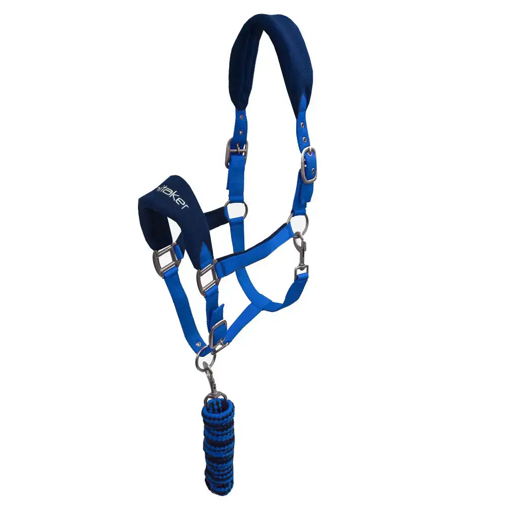 Blue leather whitaker hc160 club padded headcollar with matching braided leadrope set royal blue