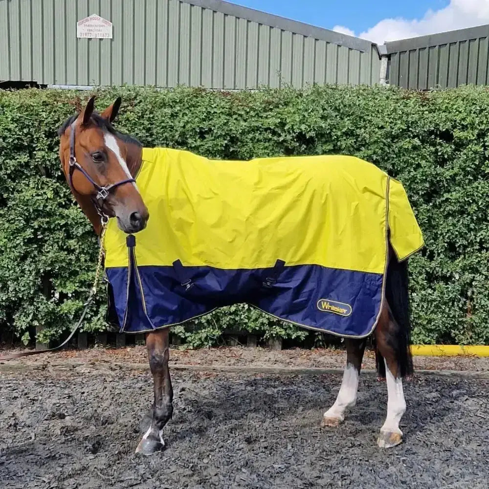 Bright yellow and navy blue two-tone whitaker hornsea turnout rug with visible brand logo, strikingly eye-catching design