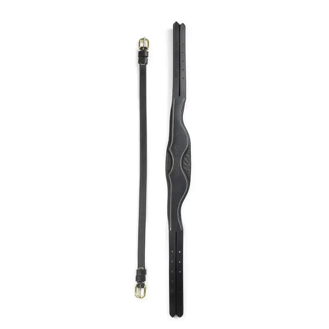Black leather whitaker hp100 anatomic headpiece with contrast stitching and gold-toned buckles for horses