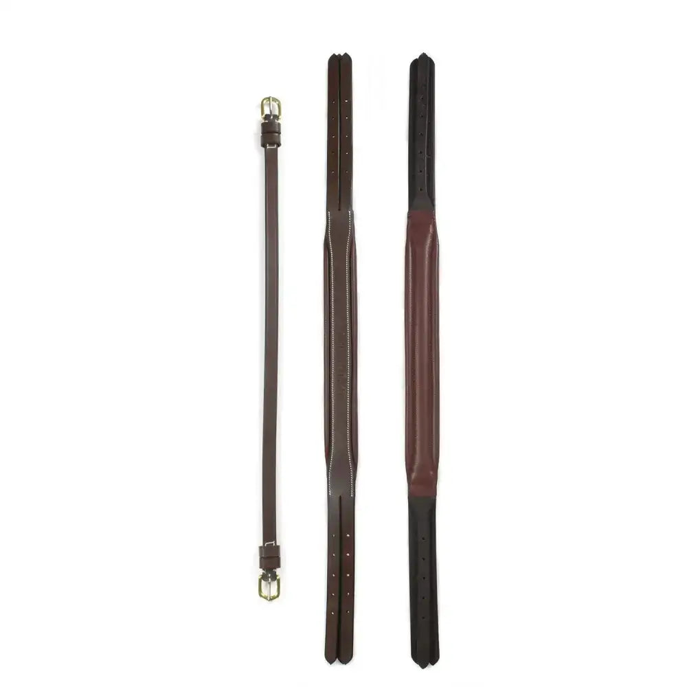 Three brown leather horse bridles with silver buckles and stitched detailing whitaker hp101 straight headpiece havana