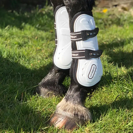 Whitaker lp083 bingley tendon boots white with black and white adjustable straps for horse leg protection