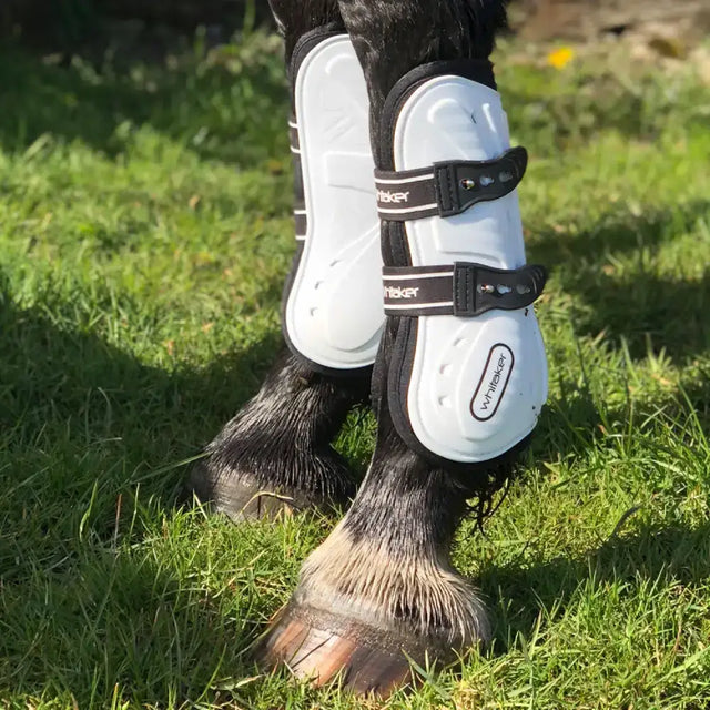 Whitaker lp083 bingley tendon boots white with black and white adjustable straps for horse leg protection