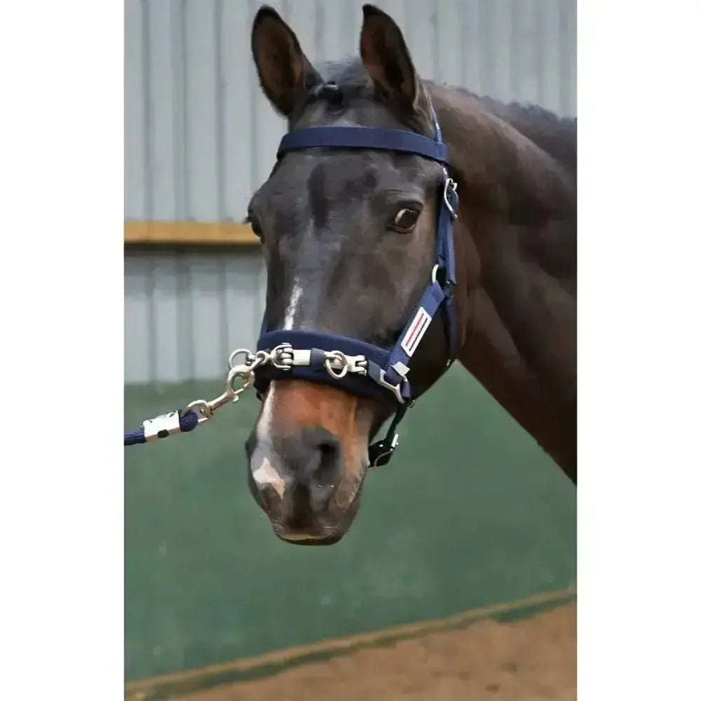 Whitaker Lunge Cavesson Navy Cob Cob Navy Lunging Cavesson