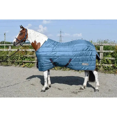 Blue quilted whitaker lupin stable rug 200gm with dark blue straps and small brand logo in teal color